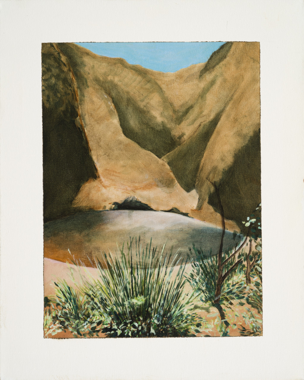 Early Desert Study