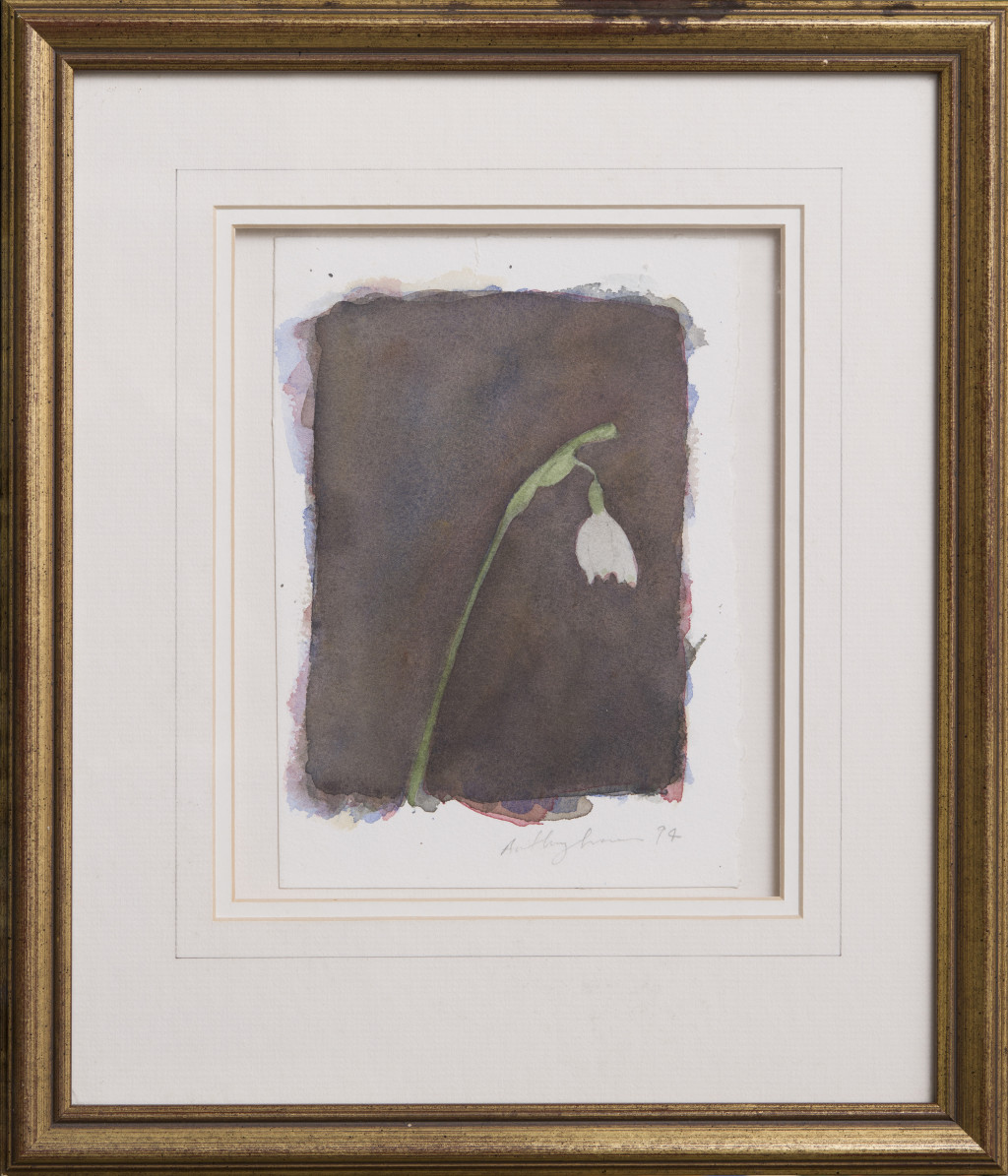 Snowdrop study