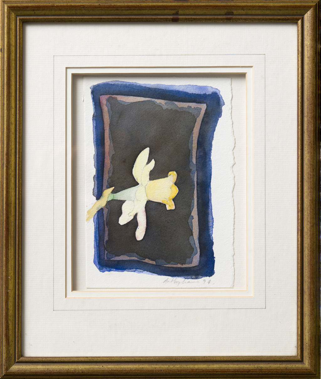 Daff Border