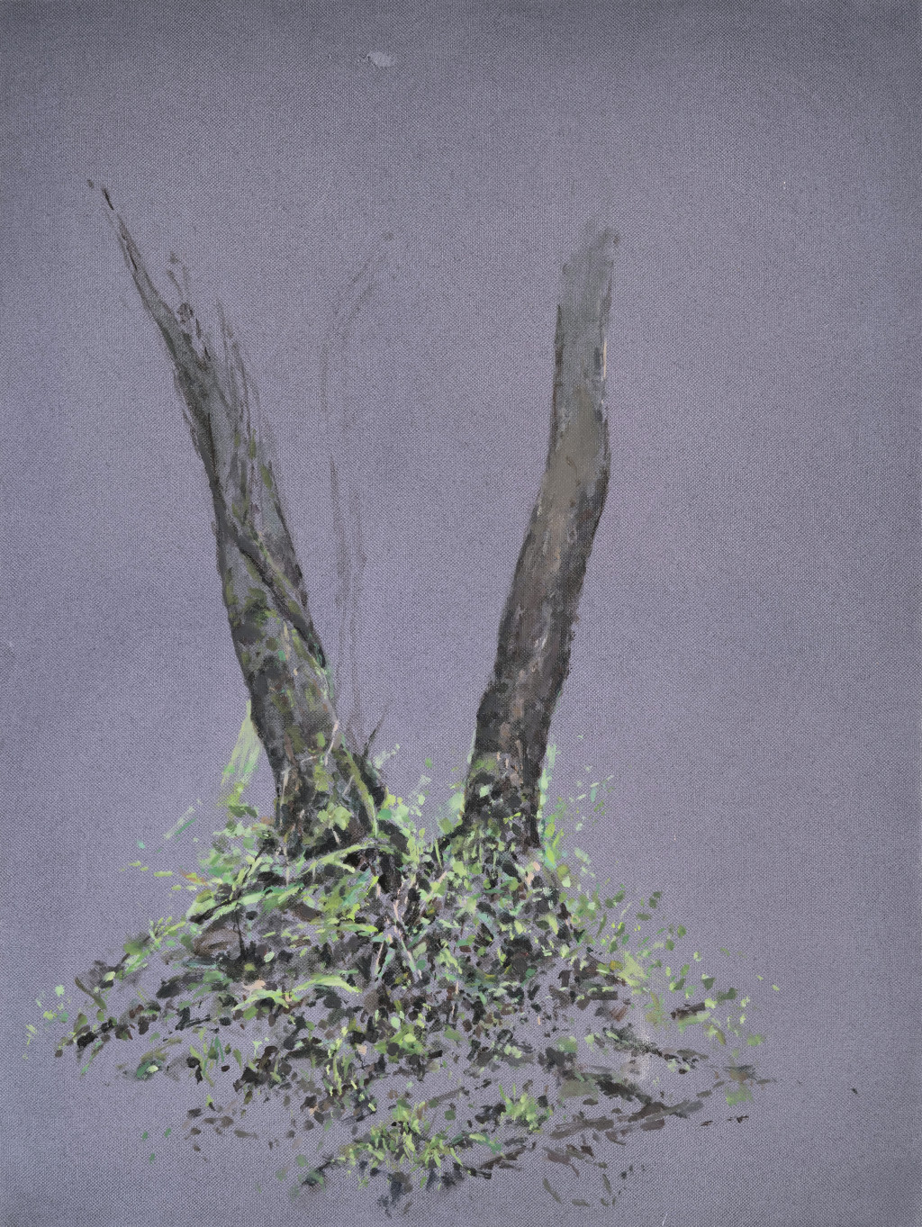 Part of my bamboo oasis