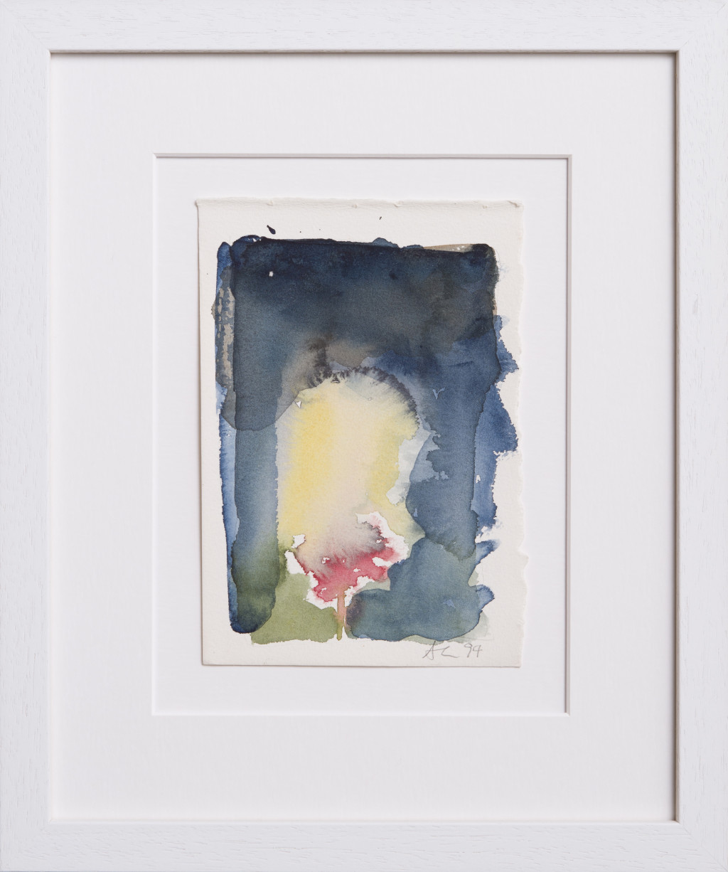 Poppy in the Sunshine